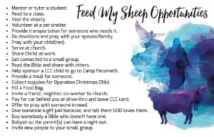 Feed My Sheep Insert