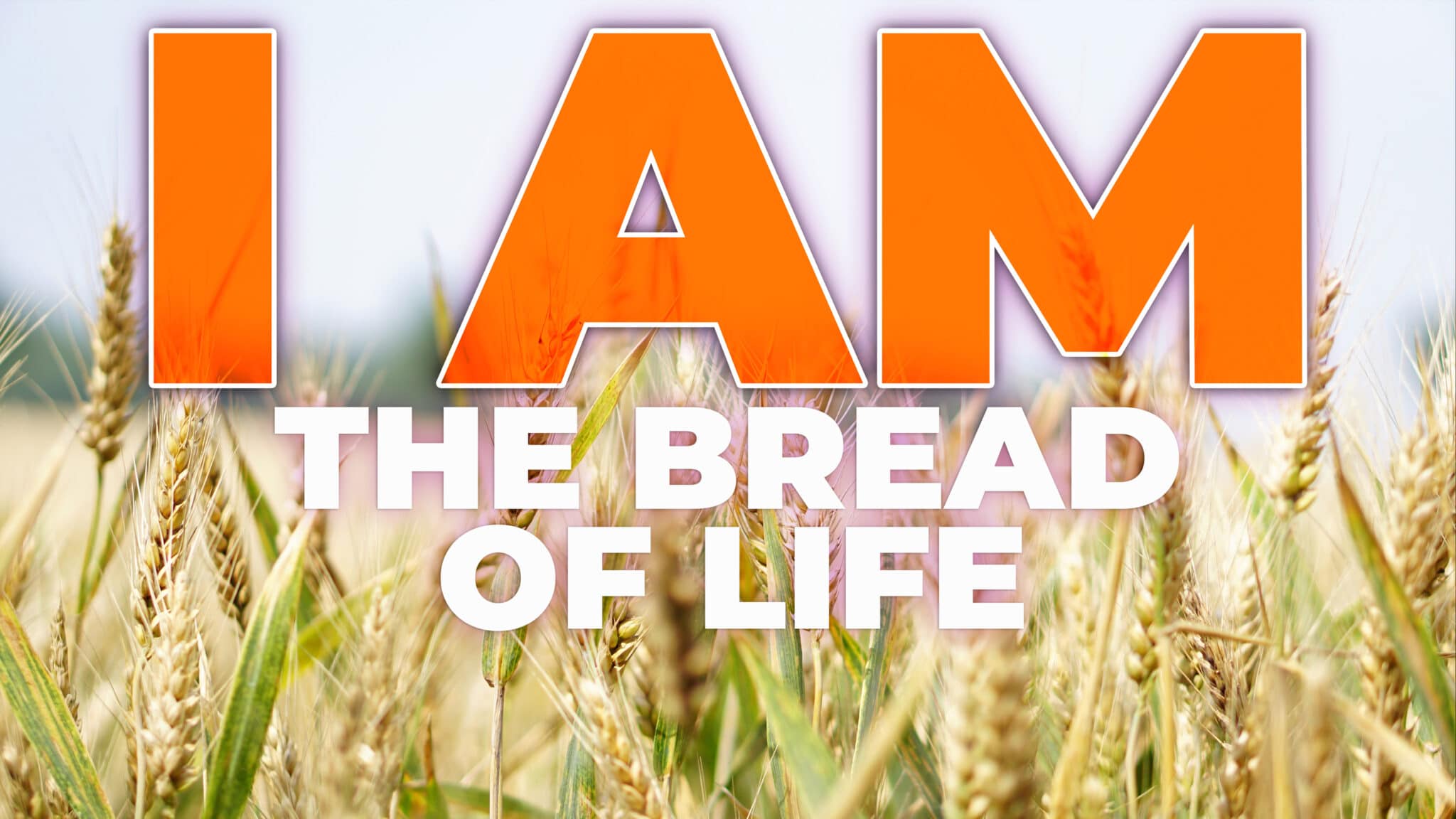 What Is The Meaning I Am The Bread Of Life